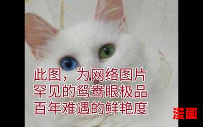 鸳鸯眼最新章节目录-鸳鸯眼小说,小说网,最新热门小说