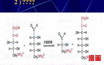 磷酸烯醇式丙酮酸全文免费阅读 - 磷酸烯醇式丙酮酸最新章节 - 无弹窗