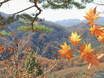 永生全文免费阅读 - 永生最新章节 - 无弹窗